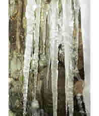 ICICLE