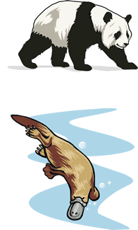 RARE vs. UNUSUAL