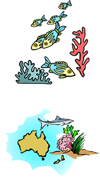 CORAL / REEF