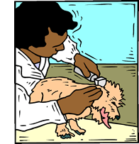 TAKE (a baby) FOR A WALK / WALK (a dog)