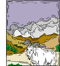 SCAPEGOAT